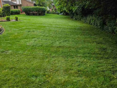 Lawn Care service in Clarkston, 48346