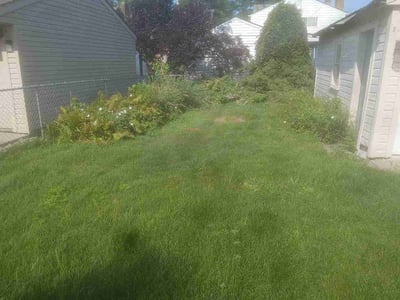Lawn Care service in Dearborn, 48126