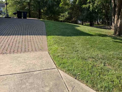 Lawn Care service in Capitol Heights, 20743