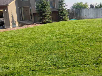 Lawn Care service in Cheney, 99004