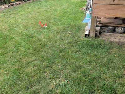 Lawn Care service in Wyandotte, 48192