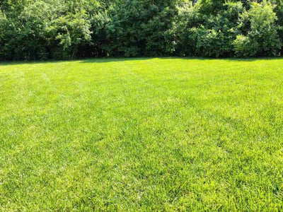 Lawn Care service in Piqua, 45356