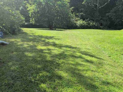 Lawn Care service in Vernon Rockville, 06066