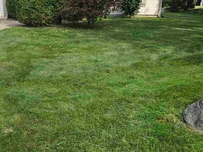 Lawn Care service in Commerce Township, 48390