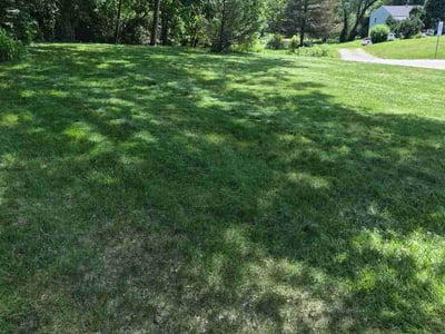 Lawn Care service in Lapeer, 48446