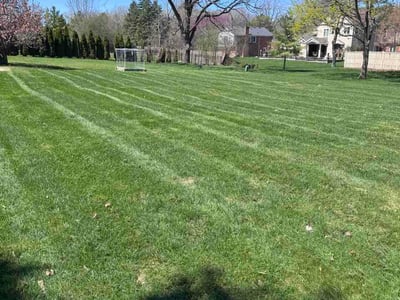 Lawn Care service in Lapeer, 48446