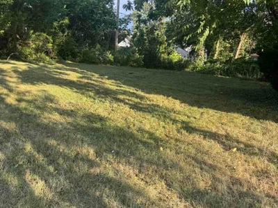 Lawn Care service in Wyandotte, 48192