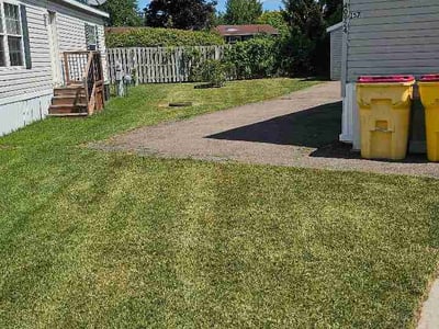 Lawn Care service in Redford Charter Township, 48239