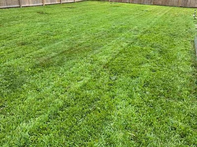 Lawn Care service in Belleville, 62220