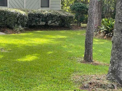 Lawn Care service in Tallahassee, 32301