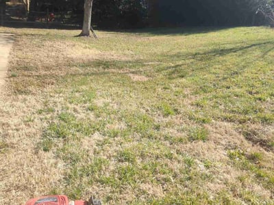 Lawn Care service in Marshfield, 02050