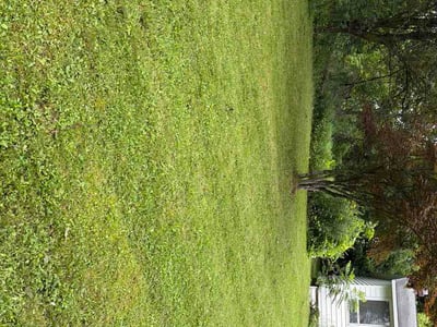 Lawn Care service in Oswego, 13126
