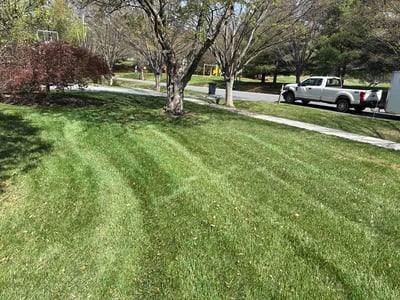 Lawn Care service in Chevy Chase, 20815
