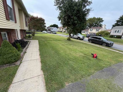 Lawn Care service in Chevy Chase, 20815