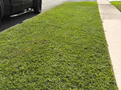 Lawn Care service in Davie, 33328