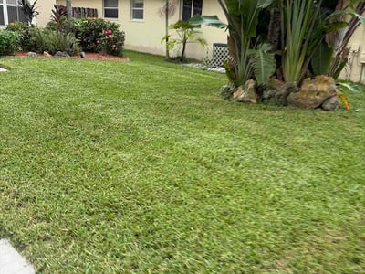 Lawn Care service in Davie, 33328