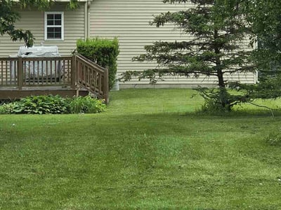 Lawn Care service in Fowlerville, 48836