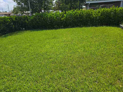 Lawn Care service in Hollywood, 33020