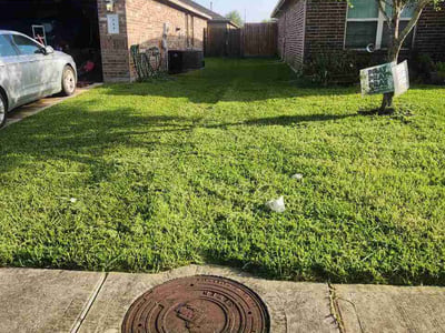 Lawn Care service in Freeport, 77541