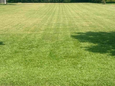 Lawn Care service in Smithfield, 27577