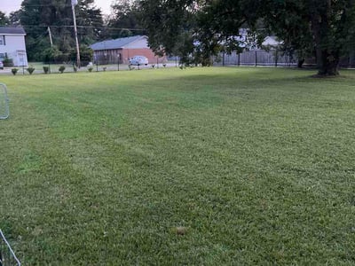 Lawn Care service in Smithfield, 27577