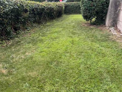 Lawn Care service in Broomall, 19008
