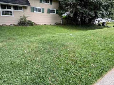 Lawn Care service in Olney, 20832