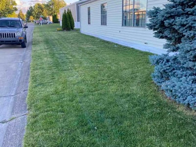 Lawn Care service in Clinton Township, 48036