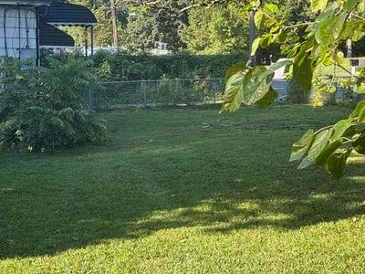 Lawn Care service in Potomac, 20036