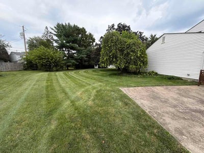 Lawn Care service in Westerville, 43081