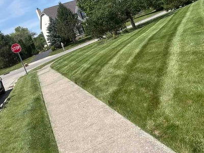 Lawn Care service in Westerville, 43081