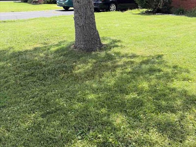 Lawn Care service in Clarksville, 47129