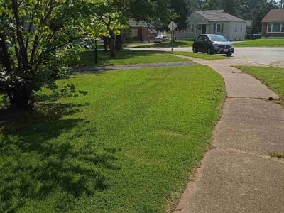 Lawn Care service in Saint Ann, 63074