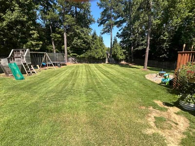 Lawn Care service in Wendell, 27591