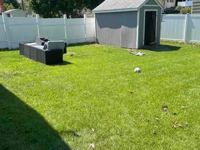 Lawn Care service in Wolcott, 06716