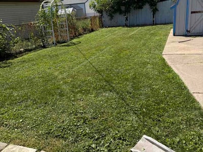 Lawn Care service in Taylor, 48180