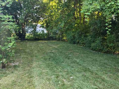 Lawn Care service in Inkster, 48141