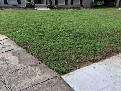 Lawn Care service in Shallotte, 28470