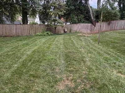 Lawn Care service in Rockville, 20850