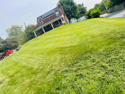 Lawn Care service in Rockville, 20850