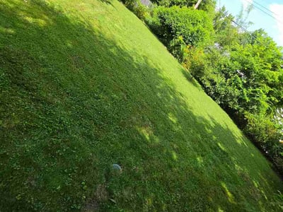 Lawn Care service in Newport, 02840