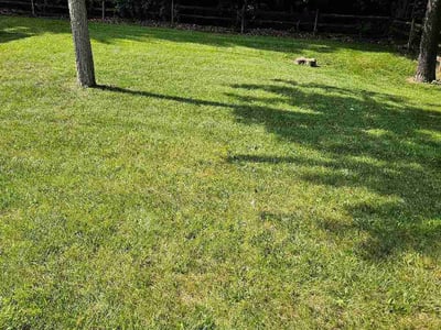 Lawn Care service in Holland, 43528