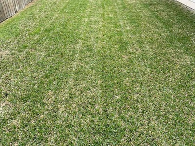 Lawn Care service in Newport, 02840