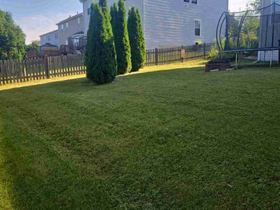 Lawn Care service in Antioch, 60002