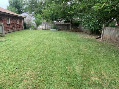 Lawn Care service in Antioch, 60002
