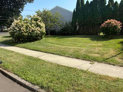 Lawn Care service in Milford, 06460
