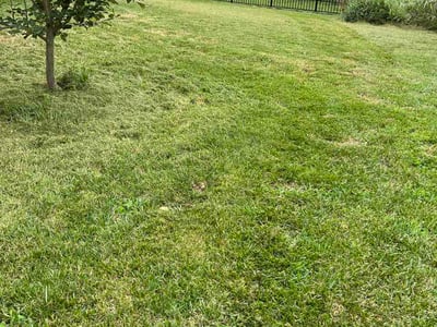 Lawn Care service in O Fallon, 62269