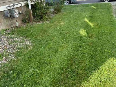 Lawn Care service in Milford, 06460
