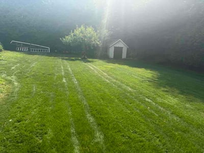 Lawn Care service in Glastonbury, 06033
