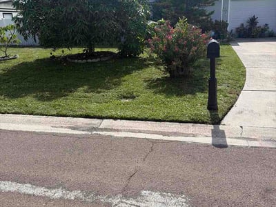 Lawn Care service in Newington, 06111